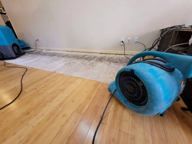 Professional Emergency Water Damage technician working in Albertville, MN